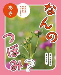 なんのつぼみ？　きせつのつぼみをみつけよう！　あき