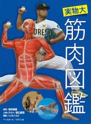 実物大筋肉図鑑