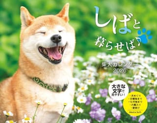 しばと暮らせば♪柴犬カレンダー２０２６