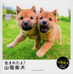 生まれたよ！山陰柴犬　山陰柴犬小松と雫写真絵本
