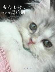 商品詳細画像