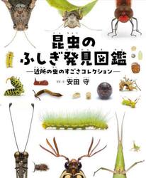 昆虫のふしぎ発見図鑑　近所の虫のすごさコレクション