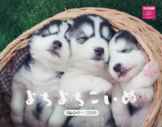 よちよちこいぬカレンダー２０２６