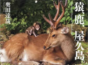 猿、鹿、屋久島。