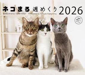 ２０２６カレンダー　ネコまる週めくり