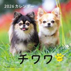 ２０２６カレンダーチワワ
