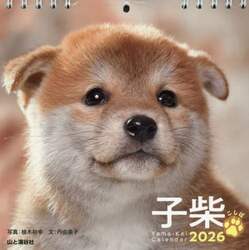 商品詳細画像