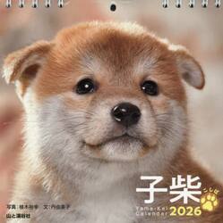 カレンダー　’２６　子柴こしば