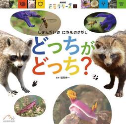 どっちがどっち？