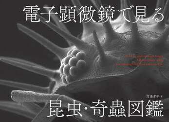 商品詳細画像