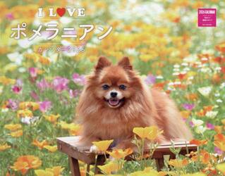 Ｉ　ＬＯＶＥポメラニアンカレンダー’２６