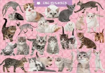 Ｃ０７　こねこだいしゅうごう　５０ピース