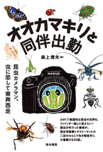 オオカマキリと同伴出勤　昆虫カメラマン、虫に恋して東奔西走
