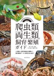 商品詳細画像