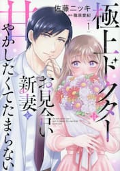 極上ドクターはお見合い新妻を甘やかしたくてたまらない　１