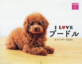 Ｉ　ＬＯＶＥプードルカレンダー２０２６