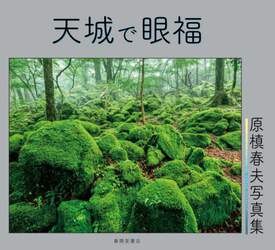 商品詳細画像