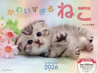 商品詳細画像