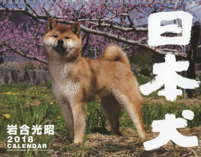 カレンダー　’１８　日本の犬　岩合光昭