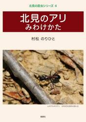 北見のアリみわけかた