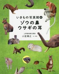 ゾウの鼻ウサギの耳