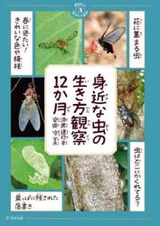 身近な虫の生き方観察１２か月
