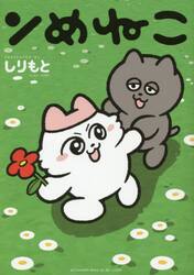 ンめねこ