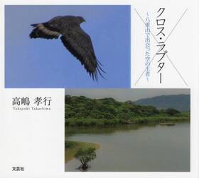クロス・ラプター　八重山で出会った空の王者
