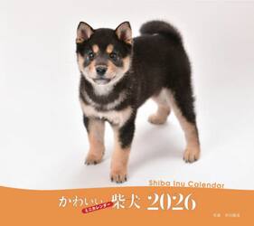 ２０２６ミニカレンダーかわいい柴犬