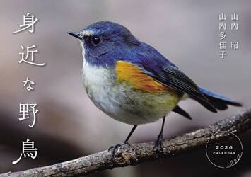 身近な野鳥ＣＡＬＥＮＤＡＲ２０２６