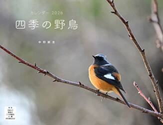 カレンダー２０２６四季の野鳥