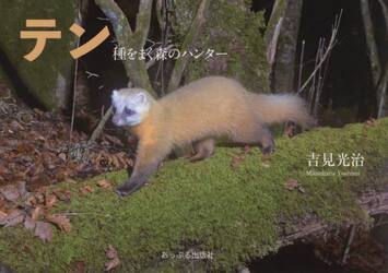 テン　種をまく森のハンター