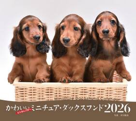 ２０２６ミニカレンダーかわいいミニチュア