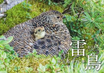 雷鳥神の鳥の四季ＣＡＬＥＮＤＡＲ２０２６