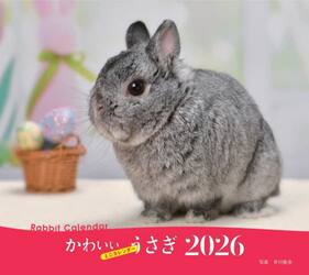 ２０２６ミニカレンダーかわいいうさぎ