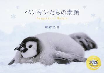 ペンギンたちの素顔カレンダー２０２６