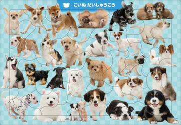 Ｃ０６　こいぬだいしゅうごう　５０ピース