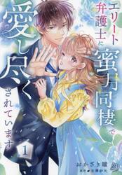 エリート弁護士に蜜月同棲で愛し尽くされています　１