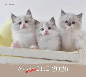 ２０２６ミニカレンダーかわいいこねこ