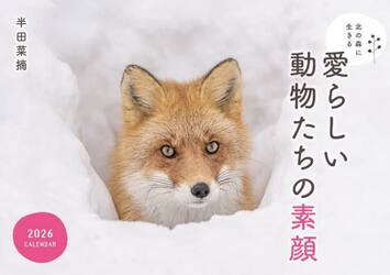 愛らしい動物たちの素顔カレンダー２０２６