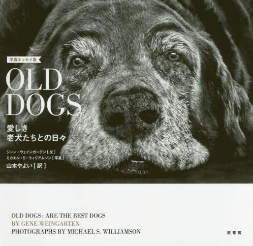 ＯＬＤ　ＤＯＧＳ　愛しき老犬たちとの日々　写真エッセイ集