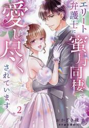 エリート弁護士に蜜月同棲で愛し尽くされています　２