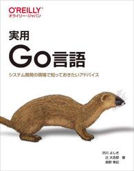 実用Ｇｏ言語　システム開発の現場で知っておきたいアドバイス