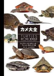 商品詳細画像