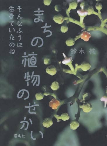 まちの植物のせかい　そんなふうに生きていたのね