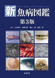 商品詳細画像