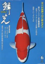鱗光　２０２５−６