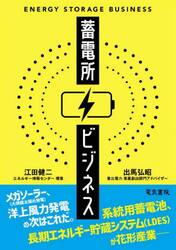 蓄電所ビジネス