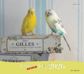 ２０２６ミニカレンダーかわいい小鳥