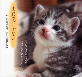 クリックして画像を拡大
